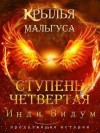 Видум Инди - Ступень Четвертая. Часть первая