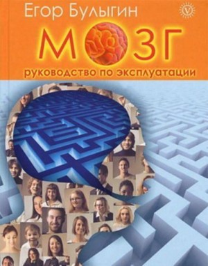 Булыгин Егор - Мозг. Руководство по эксплуатации