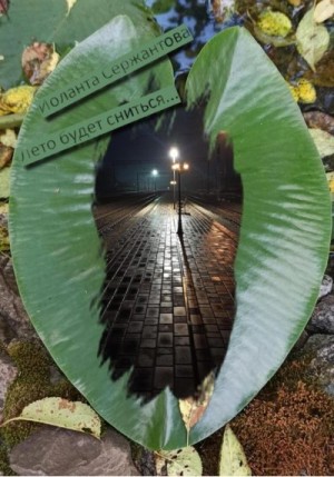 Сержантова Иоланта - Лето будет сниться…