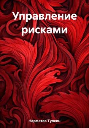 Нарметов Тулкин - Управление рисками
