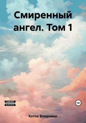 Котов Владимир - Смиренный ангел. Том 1