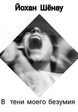 Шёнау Йохан - В тени моего безумия