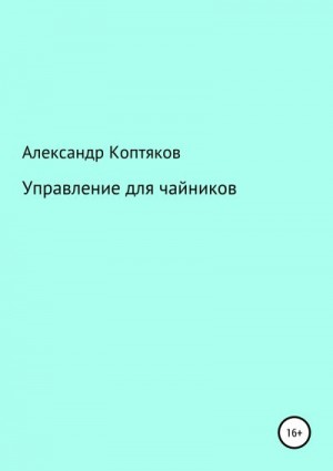 Коптяков Александр - Управление для чайников