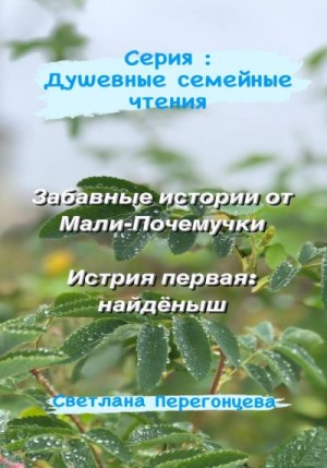Перегонцева Светлана - Серия: Душевные семейные чтения. Забавные истории от Мали-Почемучки. История первая: найдёныш