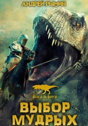 Рымин Андрей - Вслед за бурей. Выбор мудрых