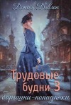 Дэвлин Джейд - Трудовые будни барышни-попаданки 3