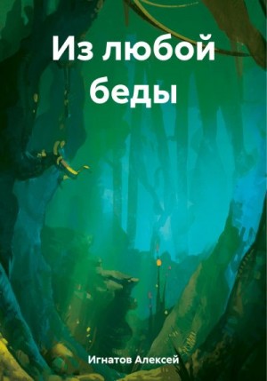 Игнатов Алексей - Из любой беды