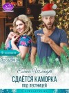 Шмидт Елена - Сдаётся каморка под лестницей