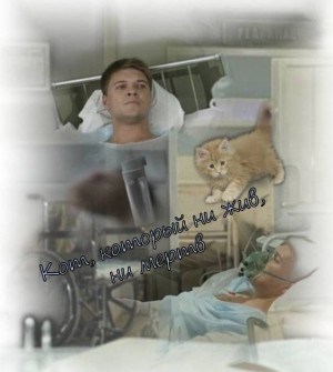 Эллериллэ - Кот, который ни жив, ни мертв