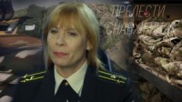 Прелести снабжения