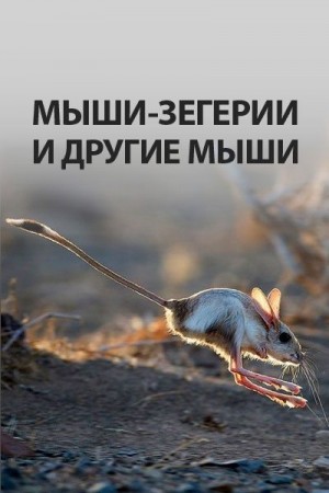l_eonid - Мыши-зегерии и другие мыши