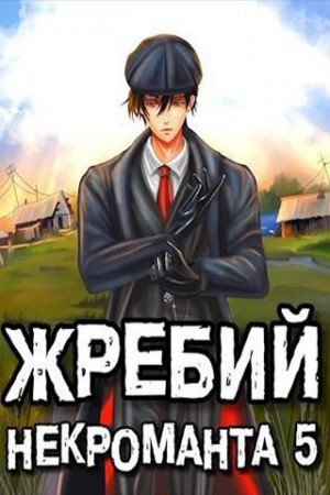 Решетов Евгений - Жребий некроманта 5