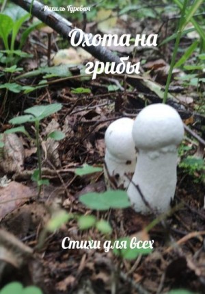 Гуревич Рахиль - Охота на грибы