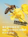 Тауц Юрген - Феномен медоносной пчелы. Биология суперорганизма