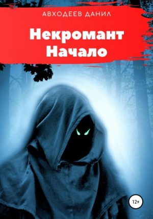 Авходеев Данил - Некромант. Начало