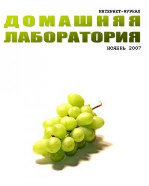 Журнал «Домашняя лаборатория» - Интернет-журнал "Домашняя лаборатория", 2007 №11