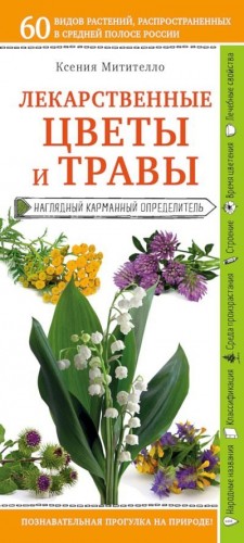 Митителло Ксения - Лекарственные цветы и травы. Наглядный карманный определитель
