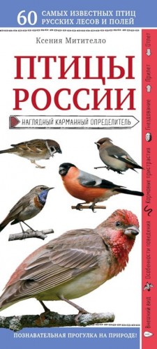 Митителло Ксения - Птицы России. Наглядный карманный определитель