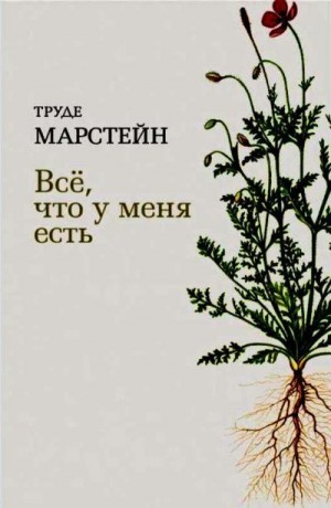 Марстейн Труде - Всё, что у меня есть