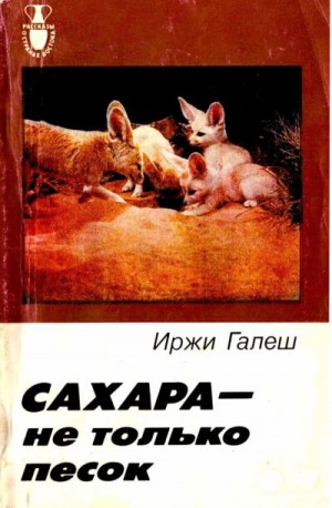 Галеш Иржи - Сахара — не только песок