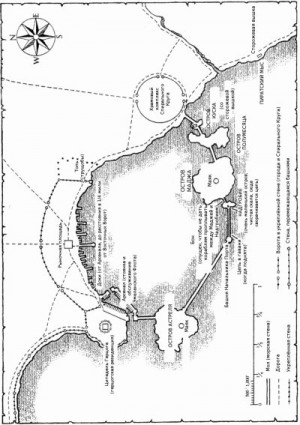 Пирс Тамора - Книга Браяра — Исцеление в Лозе