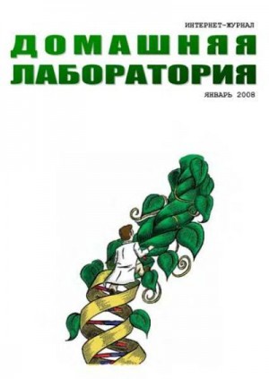 Журнал «Домашняя лаборатория» - Интернет-журнал "Домашняя лаборатория", 2008 №1