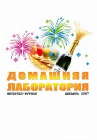 Интернет-журнал "Домашняя лаборатория", 2007 №12