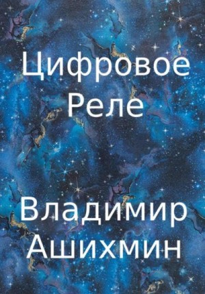 Ашихмин Владимир - Цифровое реле