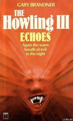 Бранднер Гарри - Эхо