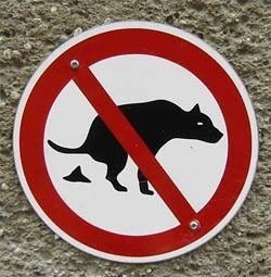 Бурьяк Александр - Люди против собак: кто кого?