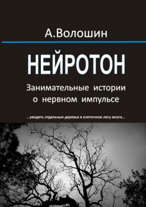 Волошин Александр - Нейротон. Занимательные истории о нервном импульсе