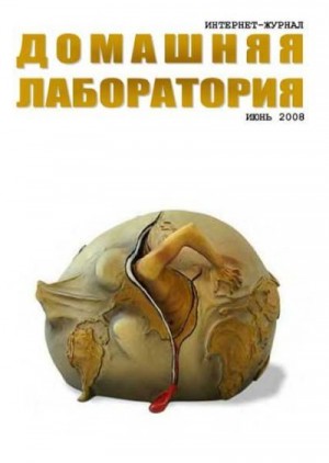 Журнал «Домашняя лаборатория» - Интернет-журнал "Домашняя лаборатория", 2008 №6