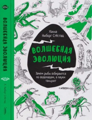 Стёстад Ханна - Волшебная эволюция