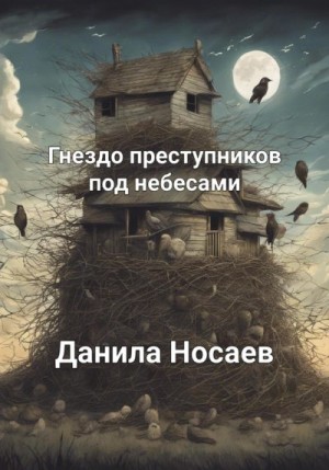 Носаев Данила - Гнездо преступников под небесами