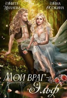 Осокина Анна, Милаева Анита - Мой враг — эльф