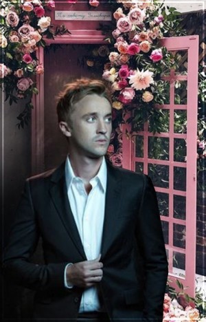 cor - По совету зельевара