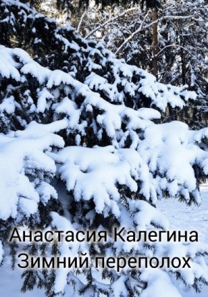 Калегина Анастасия - Зимний переполох