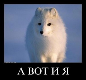 Ногицуне - Мир новый проблемы старые. И главная - выжить