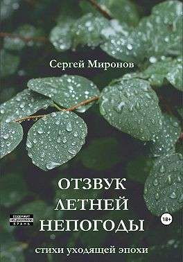 Миронов Сергей - Отзвук летней непогоды