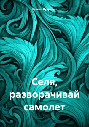 Кудряшов Кирилл - Селя, разворачивай самолет