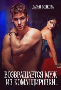 Возвращается муж из командировки… (Приехал муж из командировки)