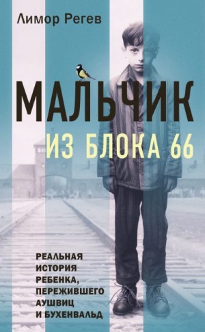 Регев Лимор - Мальчик из Блока 66. Реальная история ребенка, пережившего Аушвиц и Бухенвальд