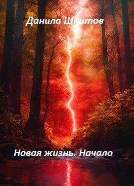 Шнитов Данила - Новая жизнь. Начало