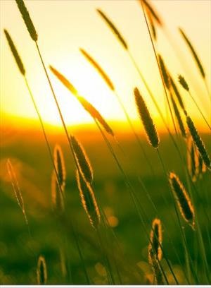 Ведуница Ирина - Вопреки всему!