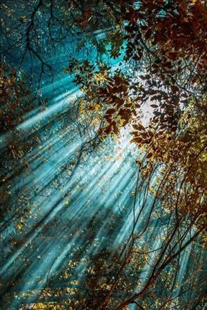 Ведуница Ирина - Песнь Перворожденных