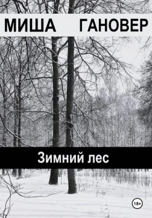 Гановер Миша - Зимний лес