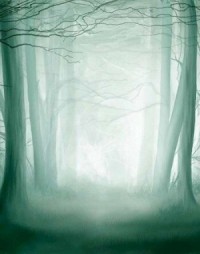 Заповедник. Кладовая Богов