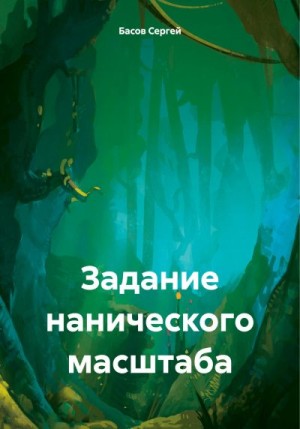 Басов Сергей - Задание нанического масштаба