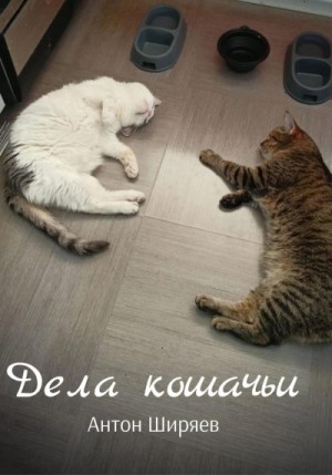 Ширяев Антон - Дела кошачьи