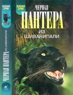 Андерсон Кеннет, Джи Эдвард - Черная пантера из Шиванипали